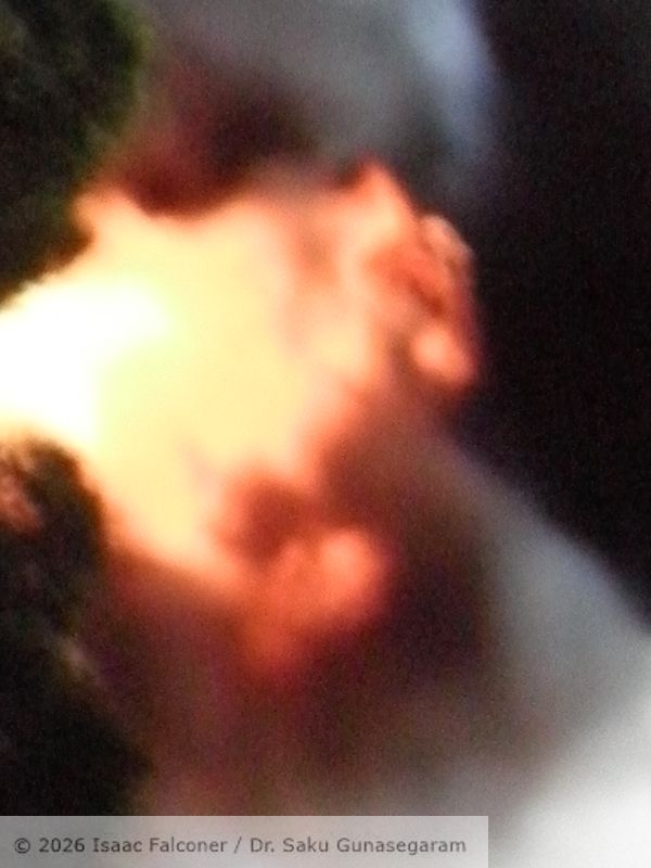 copyright 2026