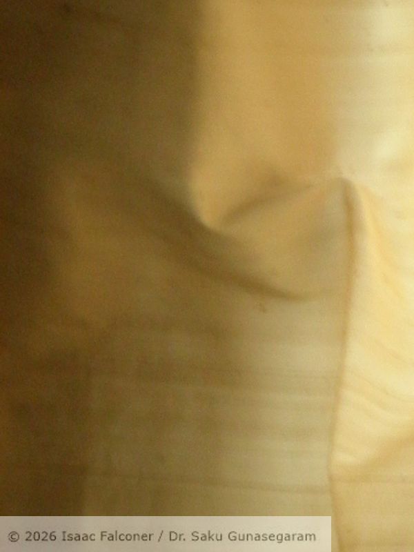 copyright 2026