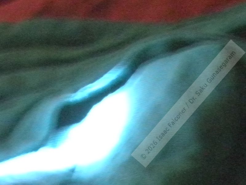 copyright 2026