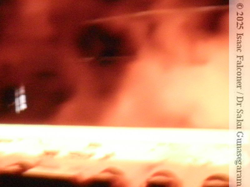 copyright 2025