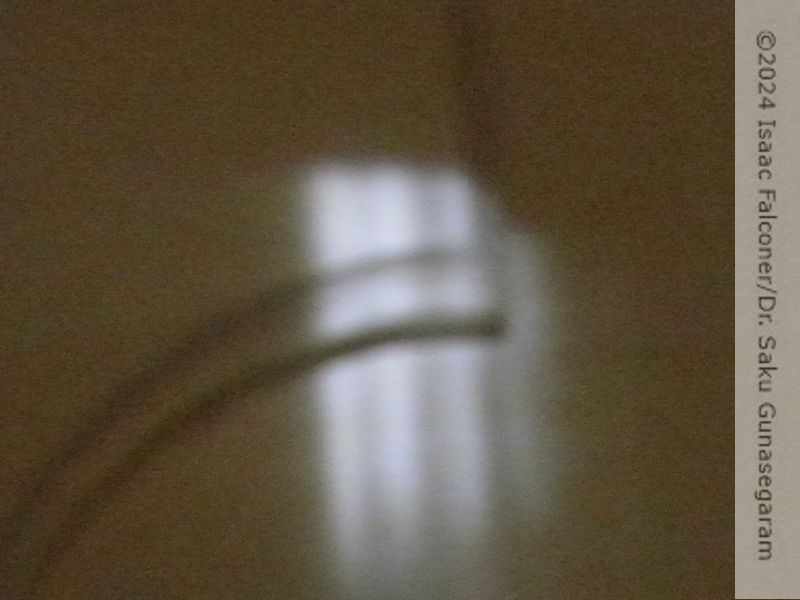 copyright 2024