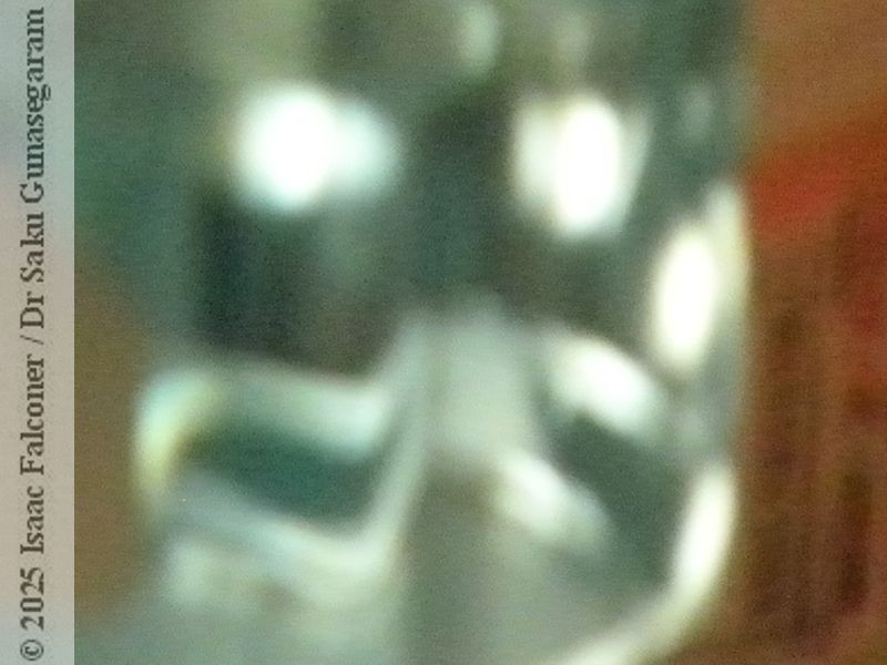 copyright 2025