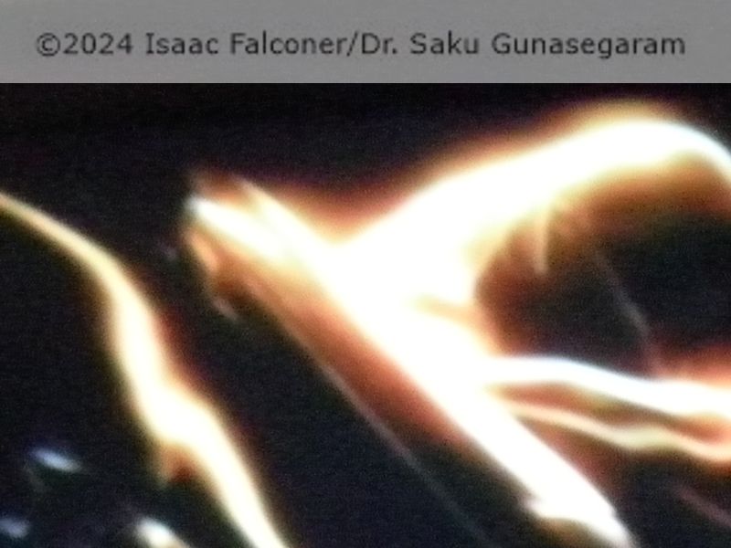 copyright 2024
