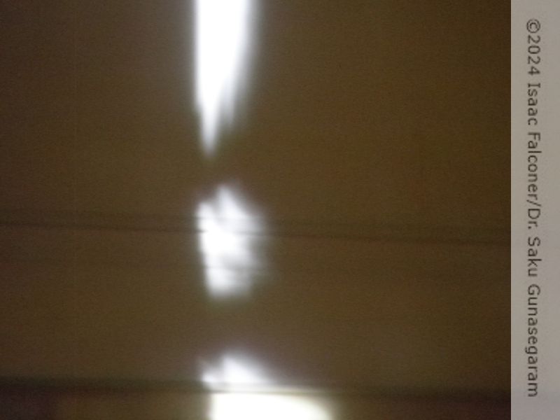 copyright 2024