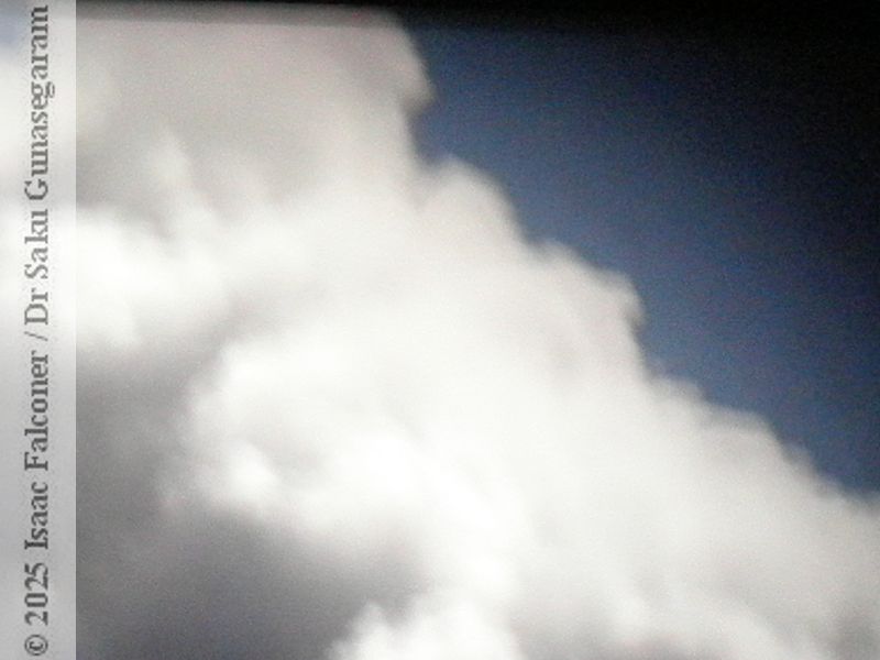 copyright 2025