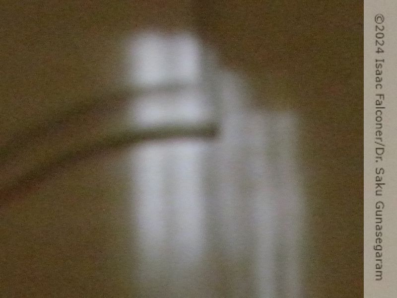 copyright 2024