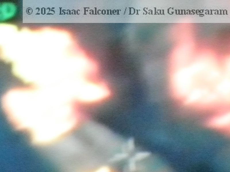 copyright 2025