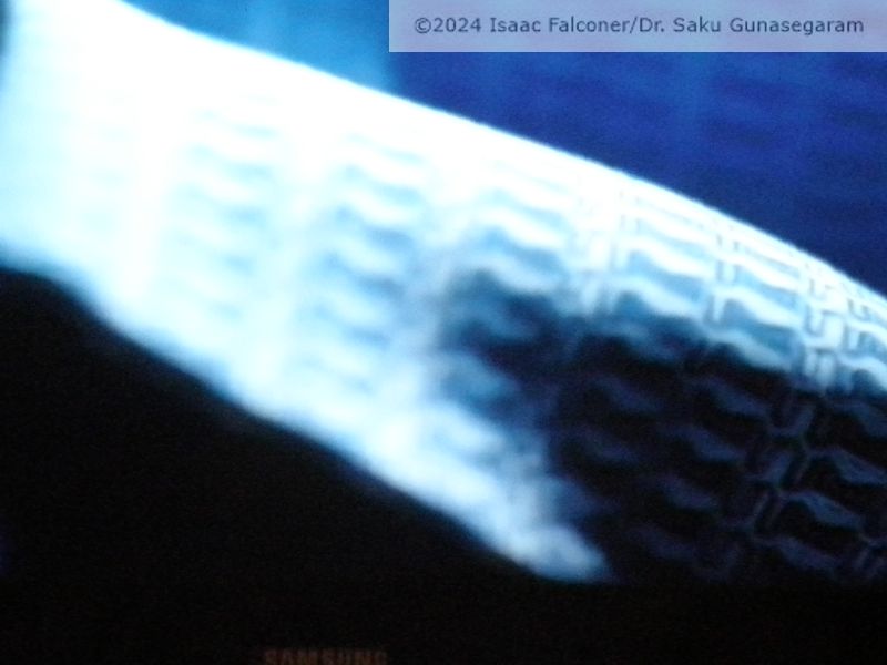 copyright 2024